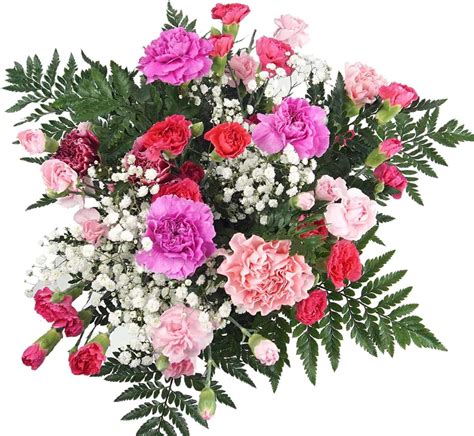 Flowers Delivery Next Day Prime Uk Pink Mixed Carnation Bouquet