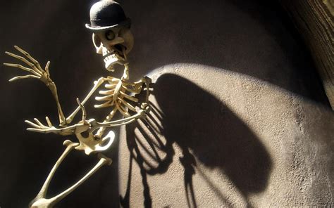 Funny Skeleton Wallpaper Wallpapersafari