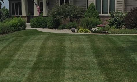 Lawn Care Madison Lawn Mowing Services Madison Wi