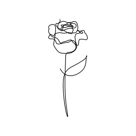 Rose Flower One Line Vector Minimalism Drawing Style
