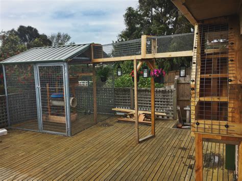 10 Outside Enclosure For Cats