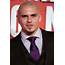Pitbull Age Weight Height Measurements  Celebrity Sizes