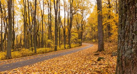 Fall In Shenandoah Shenandoah National Park Us National Park Service