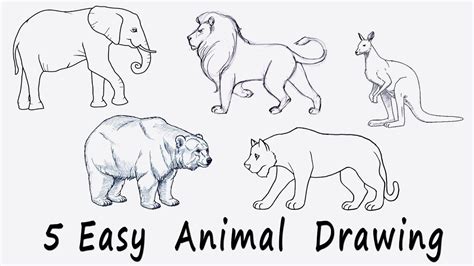 🟢 5 Easy Animal Drawing For Kids Youtube