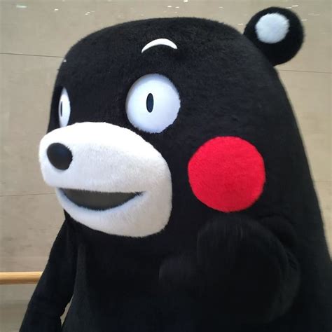 Kumakoーkumamonくまモン熊本熊 On Instagram 可愛い 熊本熊 熊本 Kumamon くまモンcute