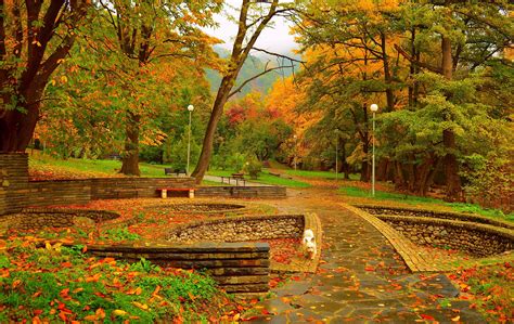 Download Dog Bench Colors Fall Photography Park Hd Wallpaper