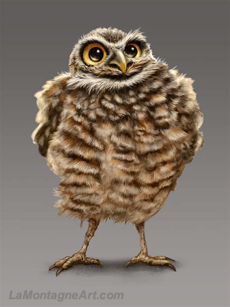 Burrowing Owl Archives Lamontagne Art
