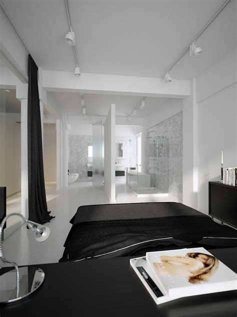 modern minimalist black  white lofts