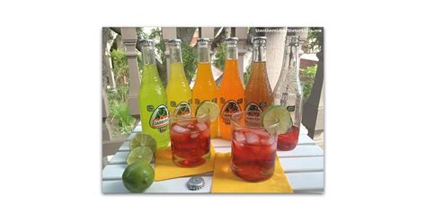 This drink is best made with tequila blanco for its clean, bold flavours that mesh well with fruity overtones. Fruity Tequila Cocktails | Jarritos Cocktail Recipes | POPSUGAR Latina Photo 2