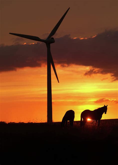 Horses And Wind Turbine At Sunset Digital Art By Henrik Weis Pixels