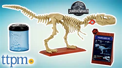 Jurassic World Fossil Strikers Velociraptor From Mattel Youtube
