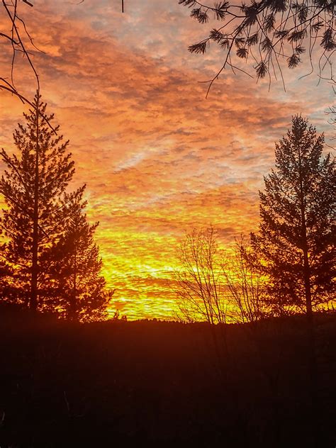 Hintergrundbilder Sonnenuntergang Bäume Himmel 3024x4032