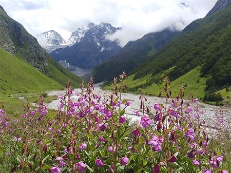 Things To Know About Valley Of Flowers Trek The Valley Of Flowers