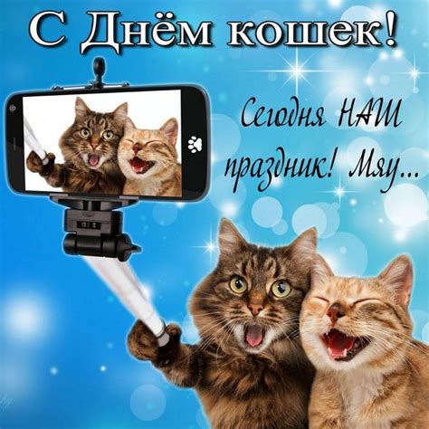 Aug 07, 2021 · всемирный день кошек (world cat day) отмечается ежегодно 8 августа по инициативе международного фонда по защите животных «animal welfare», не только с целью чествования пушистых домоседов, но. 8 августа - Всемирный День Кошек (Таня Зачёсова) / Стихи.ру