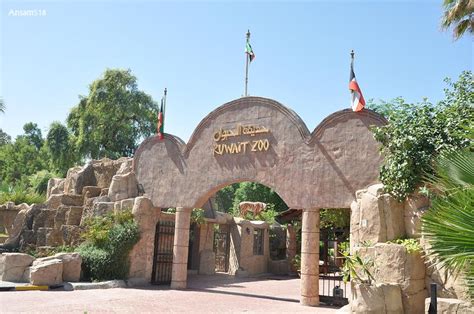 Places to visit in Kuwait - kyriasabah