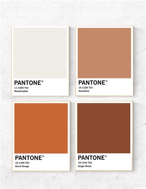 Pantone Wall Art Set Pantone Boho Colors Pantone Brown Colors Wall