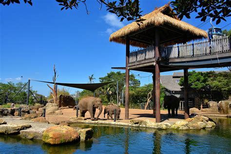 Tickets for Taronga Zoo Sydney | Best-tickets.com.au