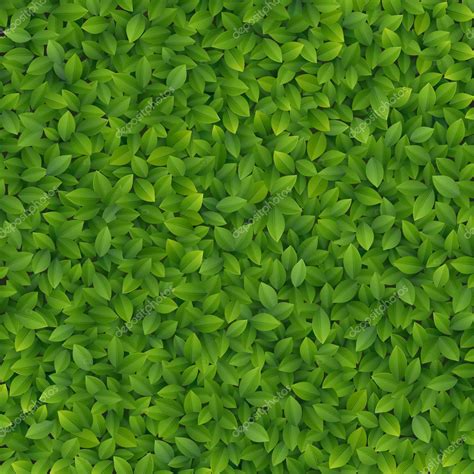 Green Leaves Texture — Stock Vector © Aviany 12028364