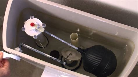 How To Replace Your Toilet Flapper Tips From Mr Rooter Plumbing