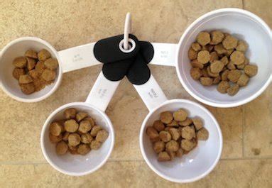 Continue with puppy food, giving puppy 2 equal meals a day. How Much Should My Dog Eat? • Travis County Kennel Club