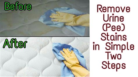 how to remove urine stains from mattress youtube