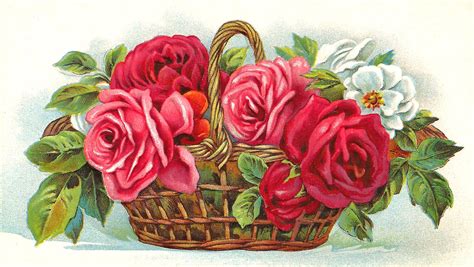Antique Images Free Red Rose Clip Art Flower Basket Full Of Red Pink