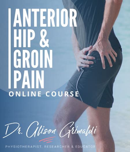 Anterior Hip And Groin Pain Dr Alison Grimaldi