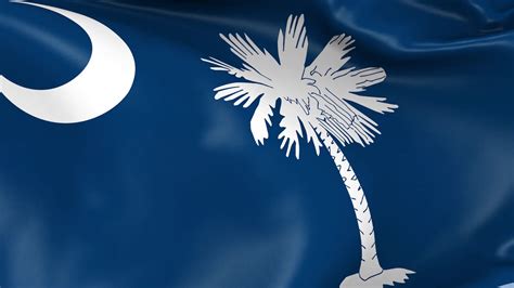 South Carolina State Waving Flag Background Stock Motion Graphics Sbv