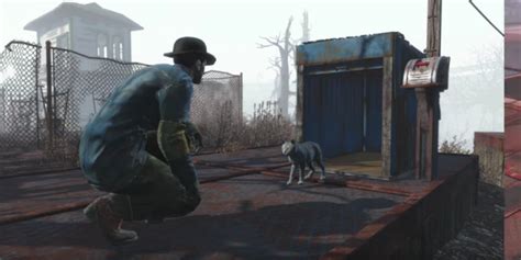 Fallout 4's second expansion, wasteland workshop, will arrive on april 12 for xbox one, playstation 4, and pc. Fallout 4 Wasteland Workshop DLC trailer - Capture cats and mount mutant heads