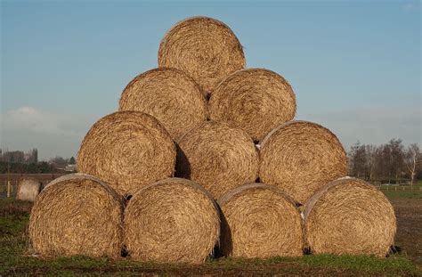 Haystack Straw Agriculture Hay Harvest Bale Harvesting Rural