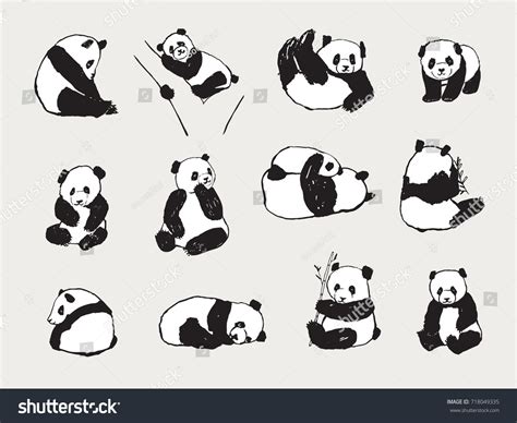 Cute Panda Bear Illustrations Collection Hand Stock Illustration 718049335