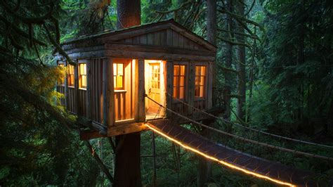 Treehouse In A Fantasy Forest Hd Wallpaper Images
