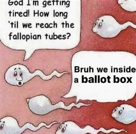 Bruh We Inside A Ballot Box Two Sperm Cells Talking Know Your Meme