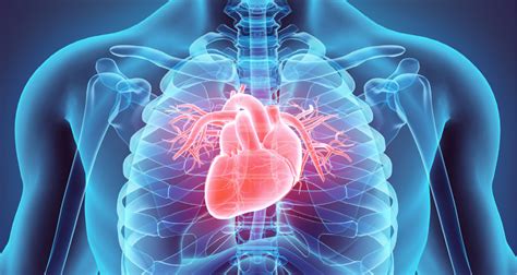 Cardiovascular Disease Magnacare Member Resources