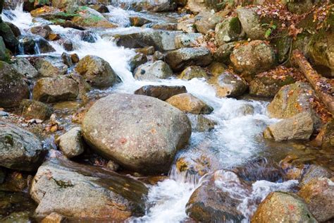 Rock Stream Stock Photo Image Of Recreation River Calmness 1442062