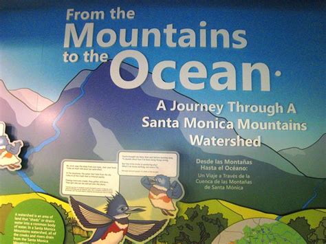 Santa Monica Pier Aquarium 2020 All You Need To Know Before You Go