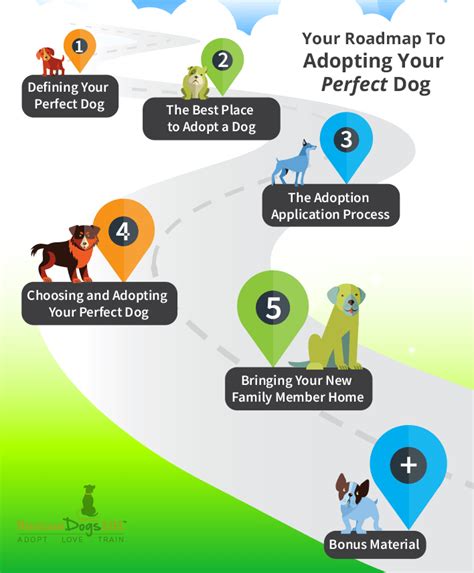 Adopting Your Perfect Dog 101 Rescue Dogs 101