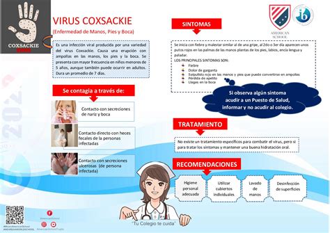 Calaméo Virus Coxsackie