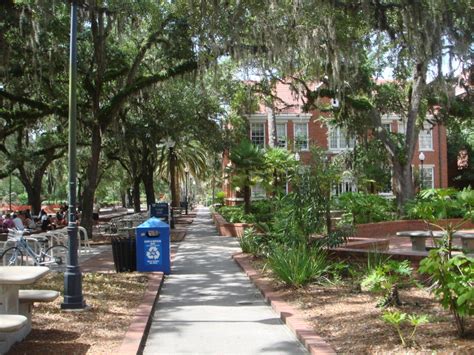 Gainesville Fl University Of Florida Campus Photo Picture Image