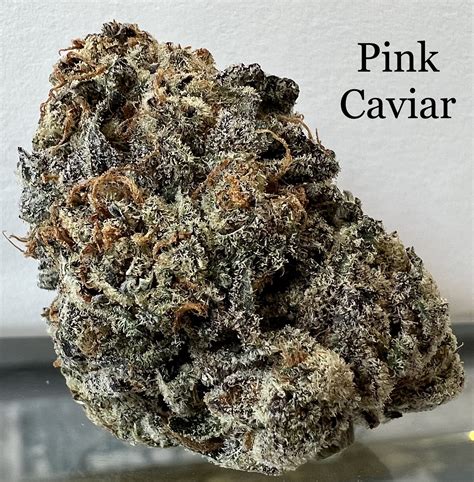 Pink Caviar