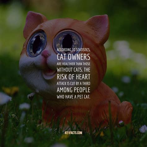 Interesting Facts About Cats That Make You Love Them Even More Page 3