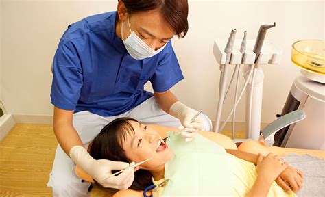 歯の役割と仕組み｜歯の健康基礎知識｜ライオン 6 12ヶ月のための5つの部分の中空歯の管の歯のおもちゃの赤ん坊のyの形の幼児の歯の生えの