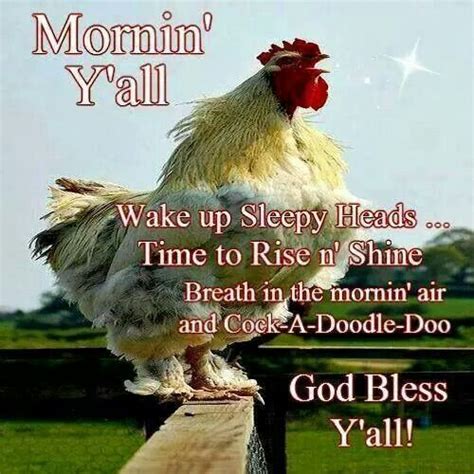 Rooster Cute Good Morning Quotes Good Morning My Friend Good