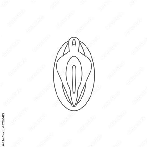 Vagina Line Icon Body Part Element Premium Quality Graphic Design