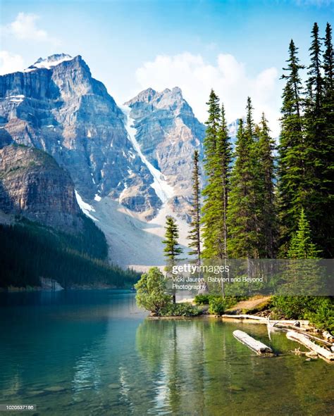 Vertical Of Trees Water Mountains At Moraine Lake Alberta Canada High