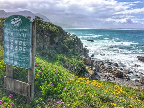 Photographic Proof That You Should Visit Hermanus The Wanderlust Effect