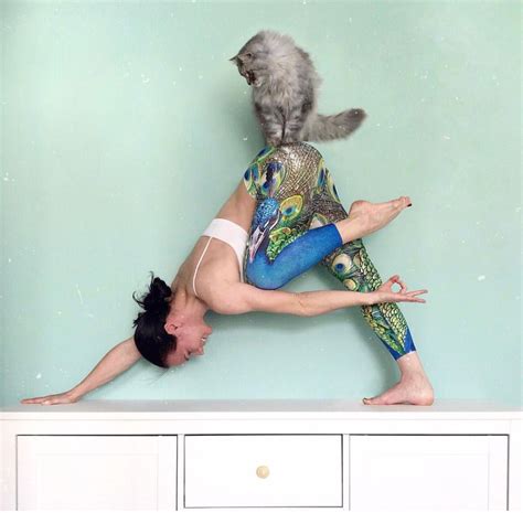 Cats Of Instagram Instagram Posts Cat Yoga Yoga Art Yoga Life Yoga Teacher Whiskers Yoga