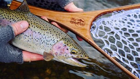 Cast A Line And Experience The Best Of Montana Fly Fishing The Wilson