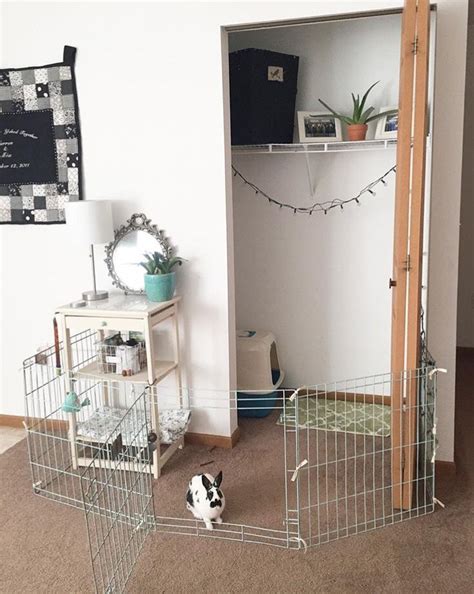 I have also made some adjustments since i have poste. Best 25+ Indoor rabbit cage ideas on Pinterest | Indoor ...