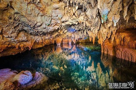 Causeway Cave Bermuda Within The Walsingham Natural Reserve Of